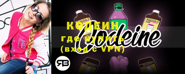 крисы Абаза