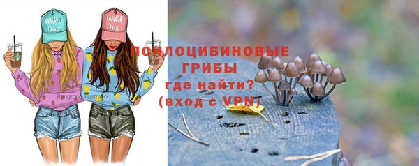 крисы Абаза