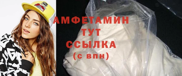 крисы Абаза