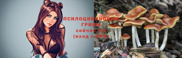 прущая мука Абинск