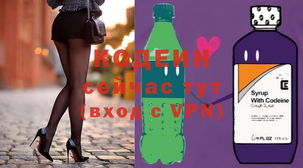 крисы Абаза