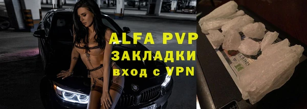 крисы Абаза
