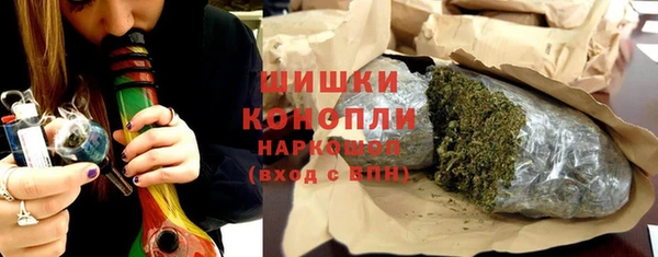 крисы Абаза