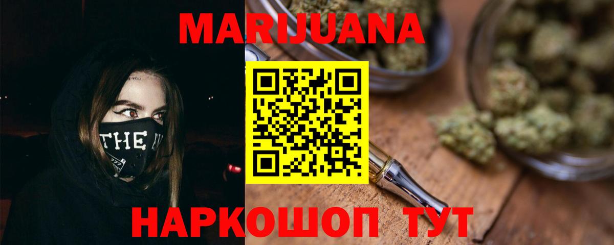Каннабис сатива Астрахань